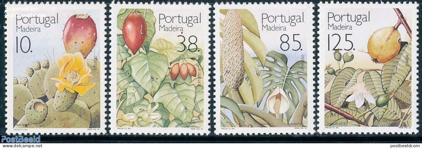 Madeira 1992 Fruits 4v, Mint NH, Nature - Cacti - Flowers & Plants - Fruit - Sukkulenten
