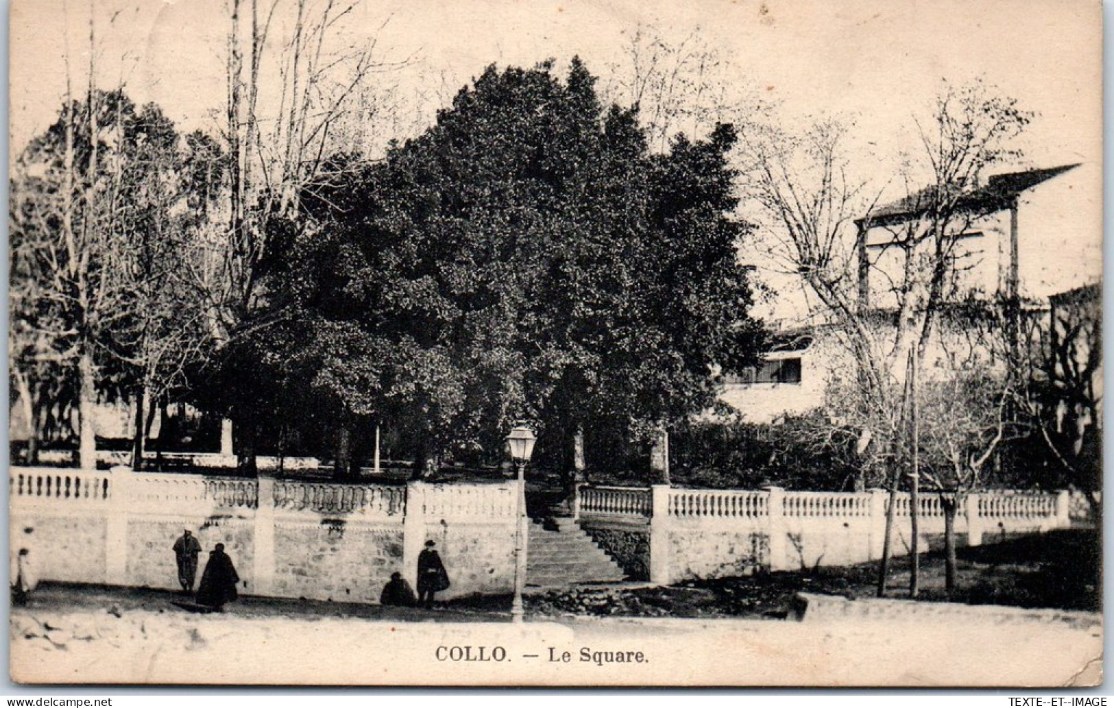 ALGERIE - COLLO - Le Square.  - Other & Unclassified