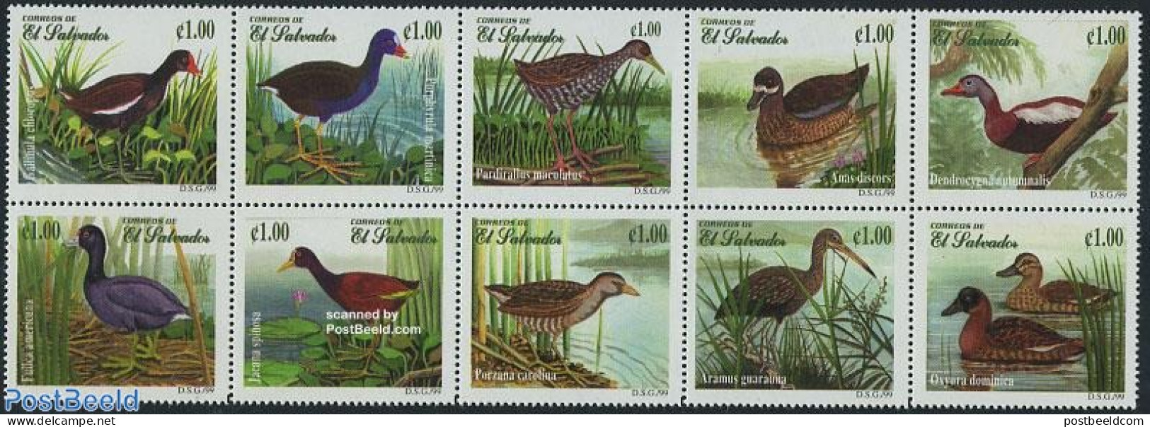 El Salvador 1999 Ducks 10v [++++], Mint NH, Nature - Birds - Ducks - El Salvador