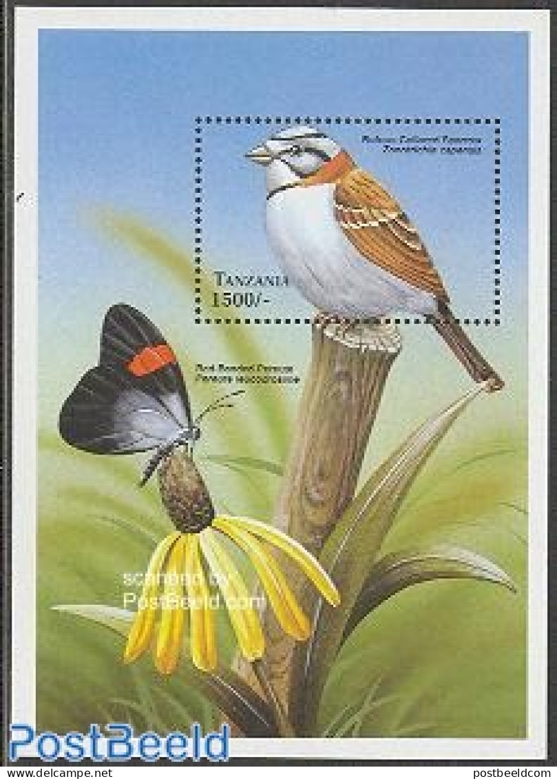 Tanzania 1999 Rufous Collared Sparrow S/s, Mint NH, Nature - Birds - Butterflies - Tanzania (1964-...)