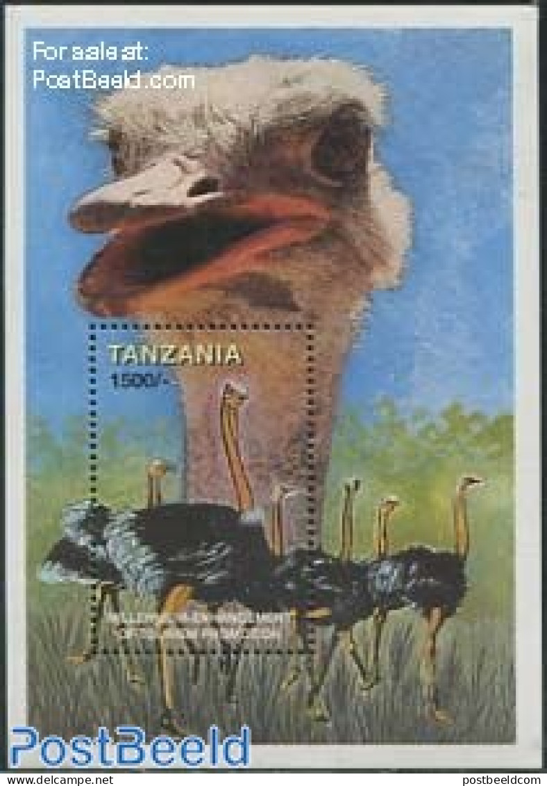 Tanzania 1999 New Millennium S/s, Mint NH, Nature - Various - Birds - Tourism - Tansania (1964-...)