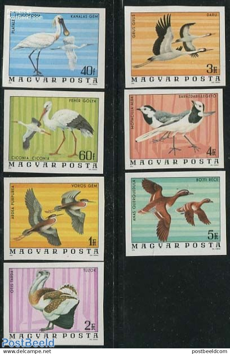 Hungary 1977 Birds 7v Imperforated, Mint NH, Nature - Birds - Ducks - Storks - Geese - Unused Stamps