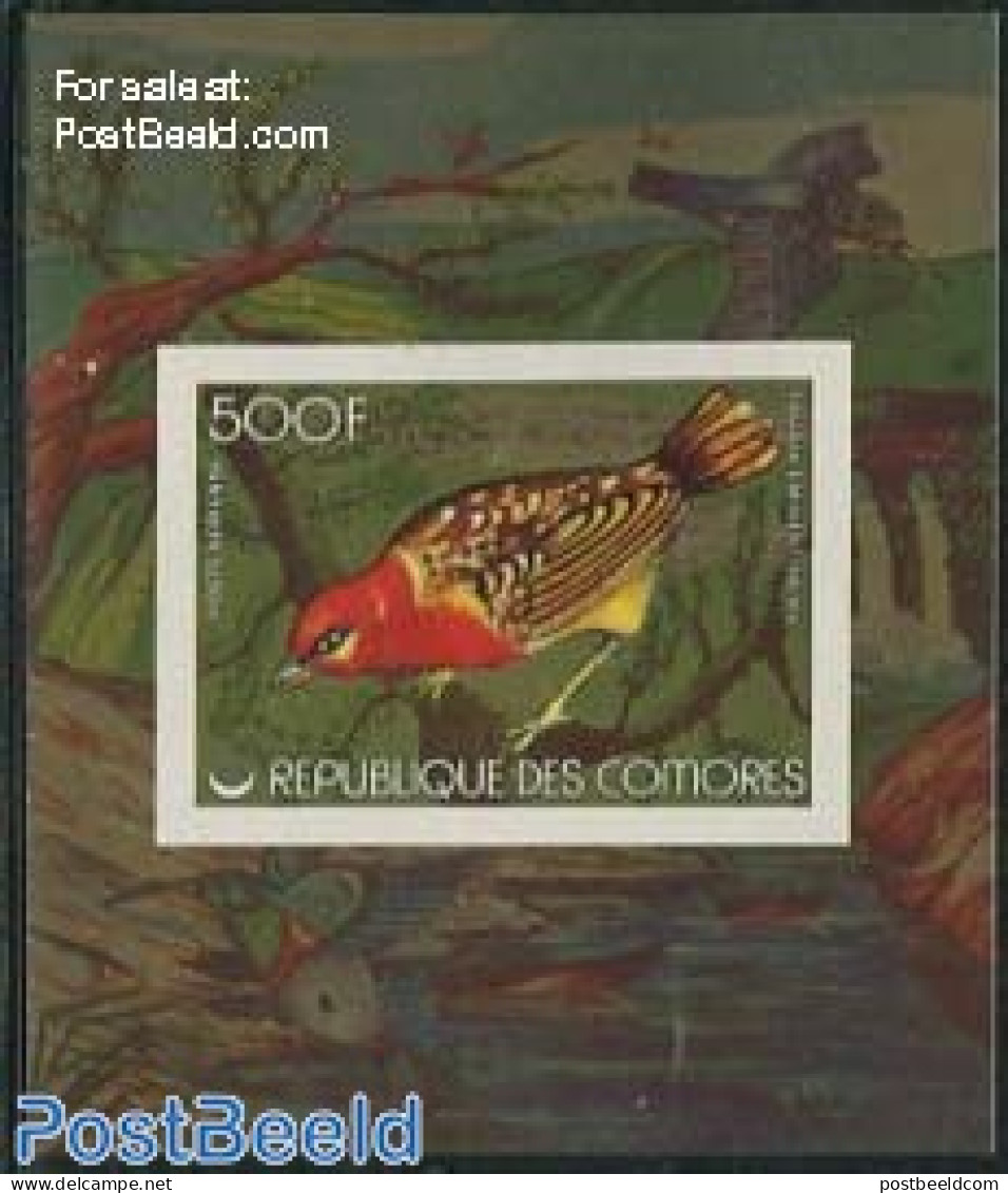 Comoros 1978 Birds S/s Imperforated, Mint NH, Nature - Birds - Comores (1975-...)