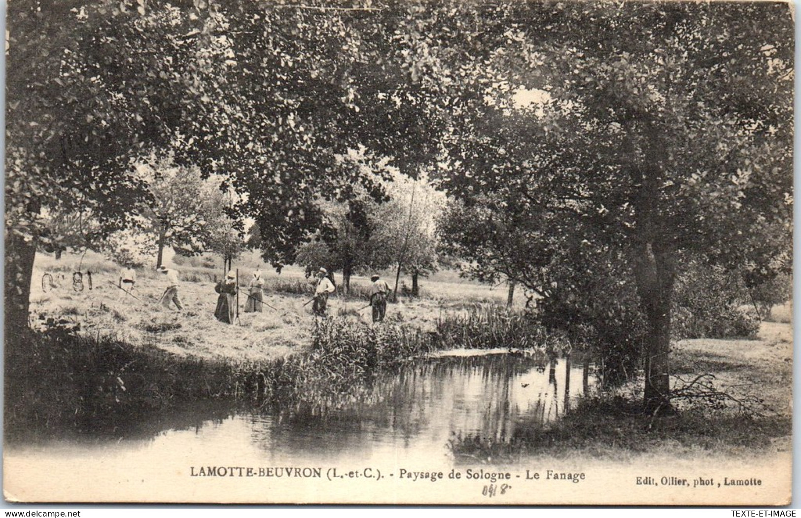 41 LAMOTTE BEUVRON - Paysage De Sologne - Le Fanage  - Lamotte Beuvron