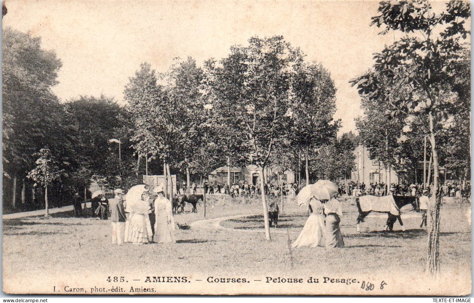 80 AMIENS - Courses - Pelouse Du Pesage - Amiens