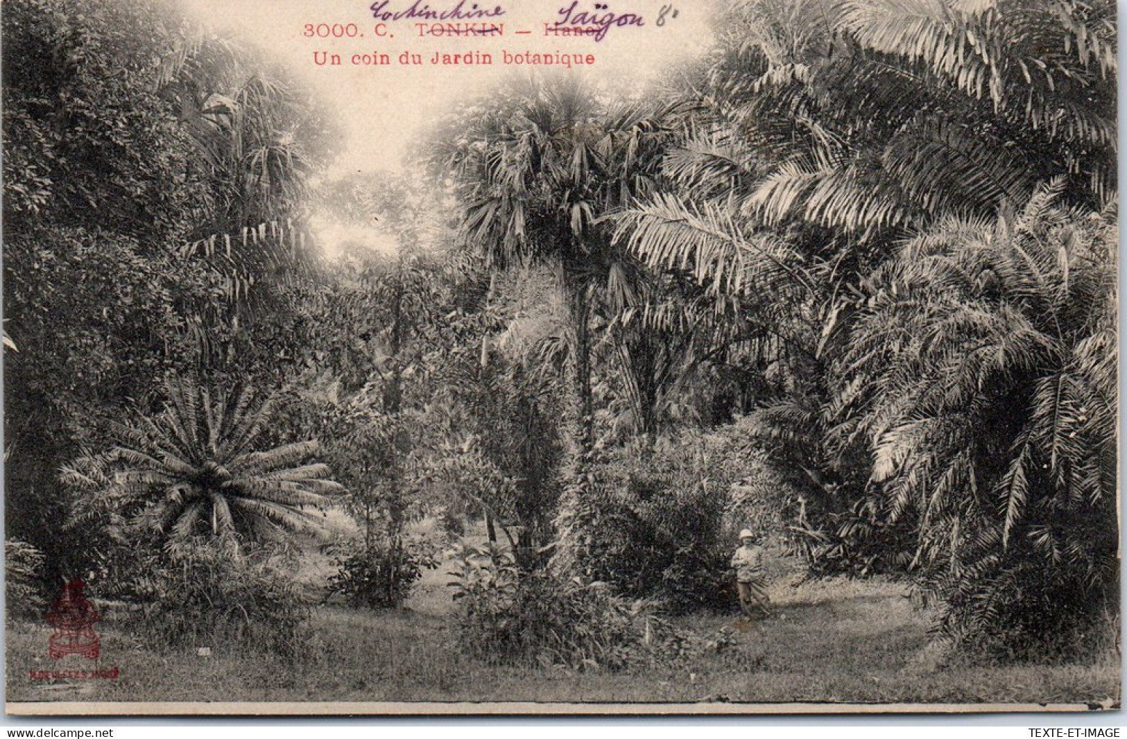 INDOCHINE - SAIGON - Un Coin Du Jardin Botanique. - Vietnam