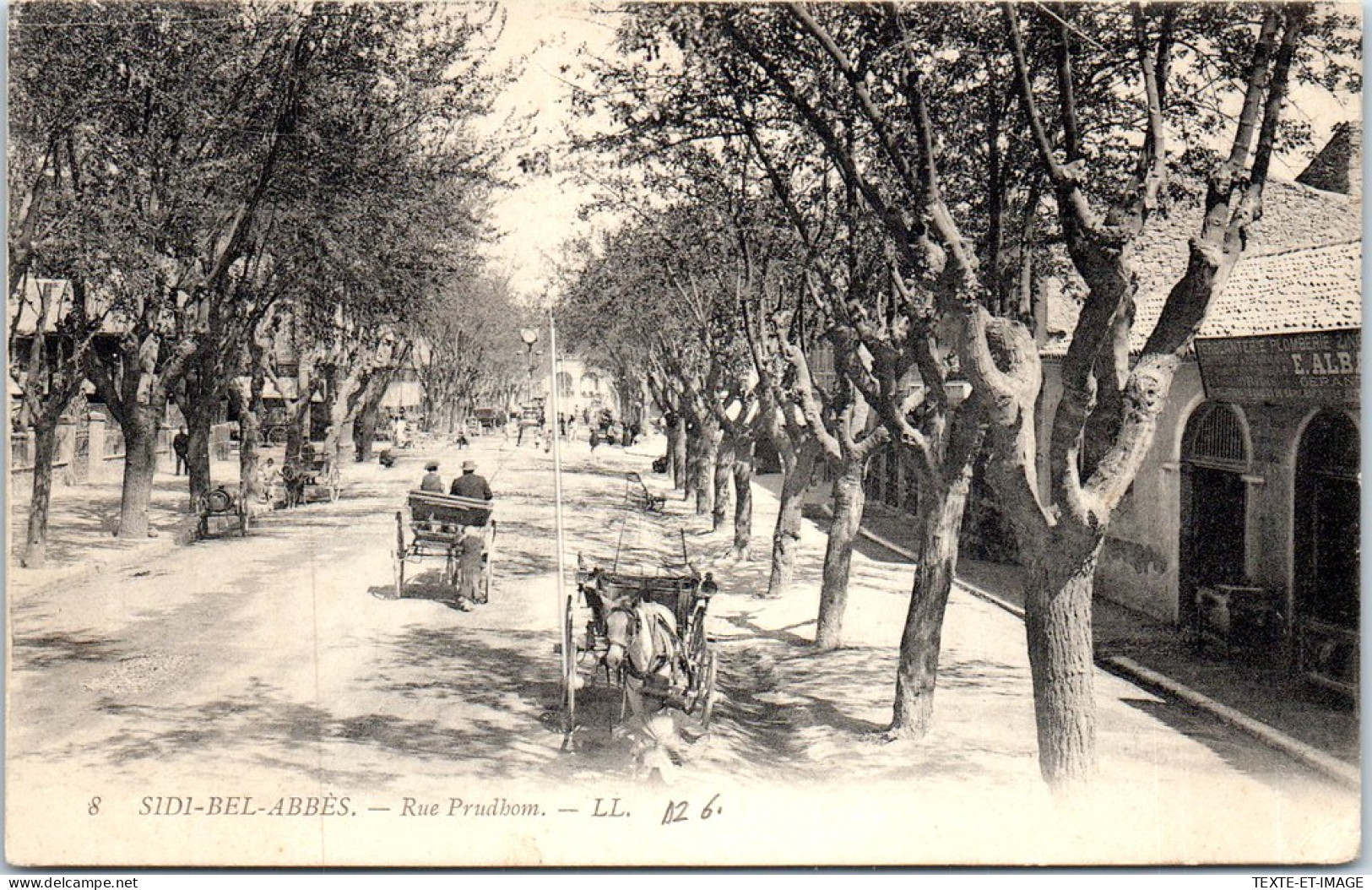ALGERIE - SIDI BEL ABBES - La Rue Prudhom  - Sidi-bel-Abbes