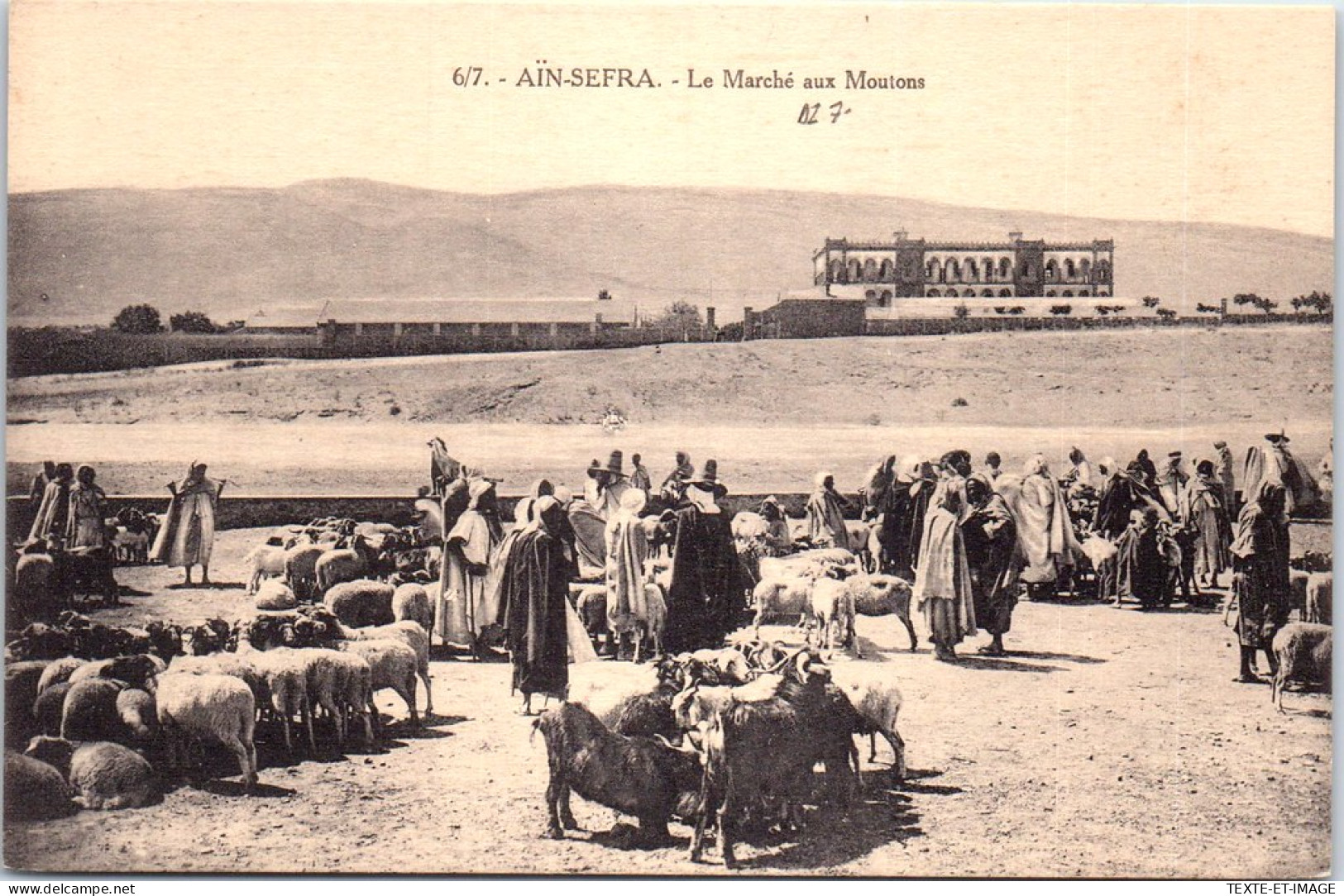 ALGERIE - AIN SEFRA - Le Marche Aux Moutons  - Autres & Non Classés