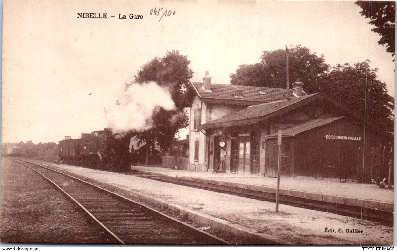 45 NIBELLE - Arrivee D'un Train En Gare  - Other & Unclassified