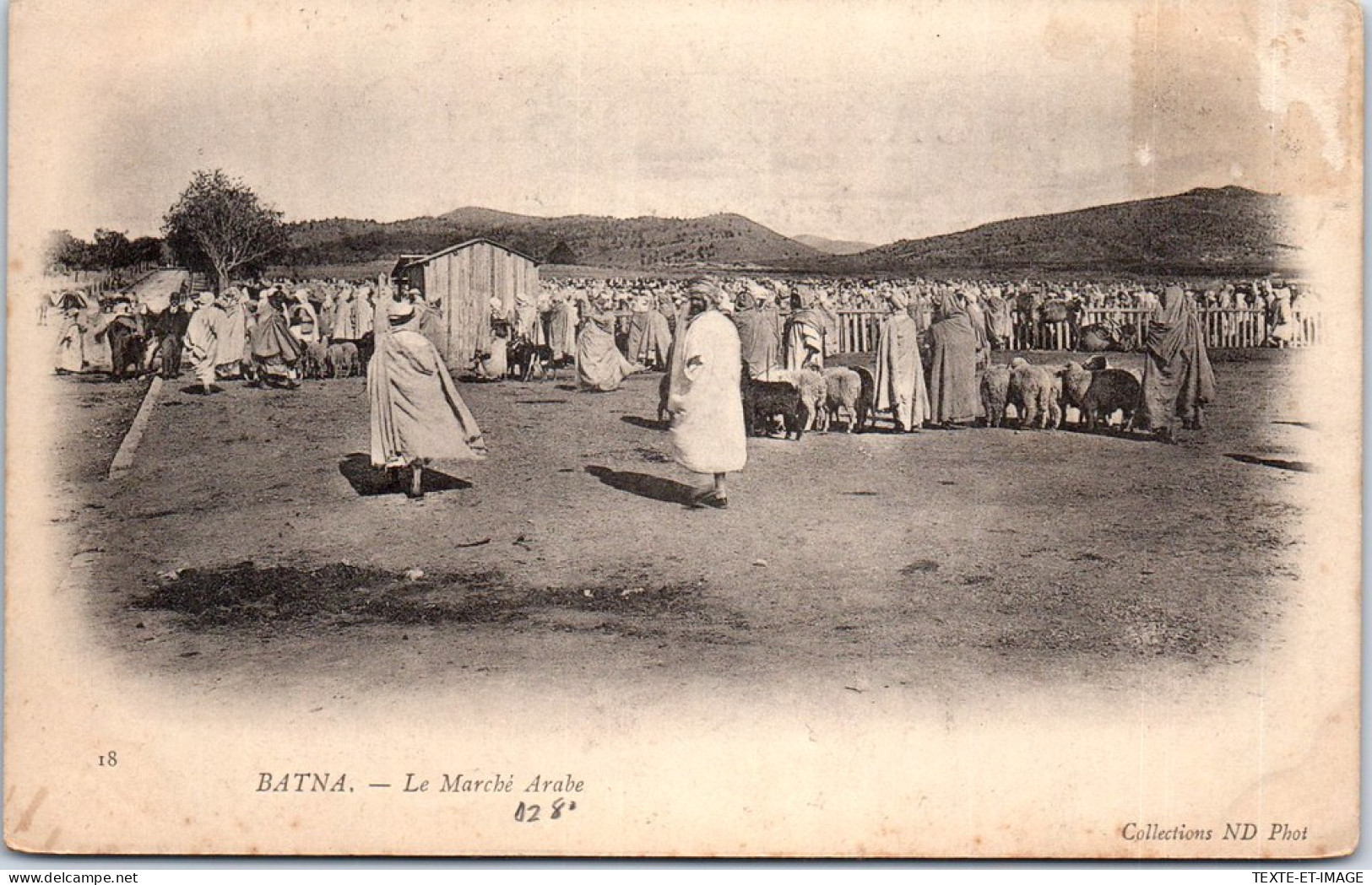 ALGERIE - BATNA - Le Marche Arabe. - Batna