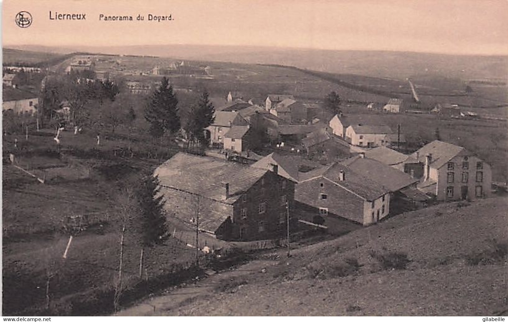 Liege - LIERNEUX - Panorama Du Doyard - Lierneux