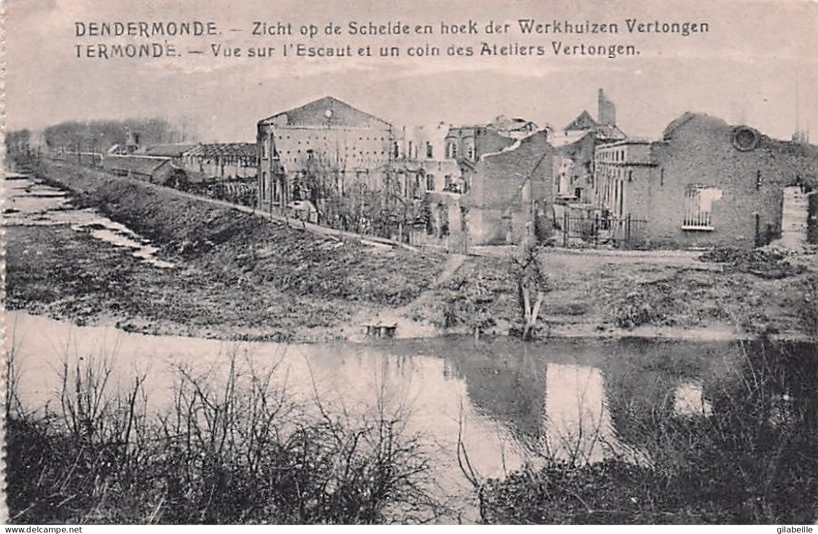 DENDERMONDE  - TERMONDE -  Vue Sur L'Escaut Et Un Coin Des Ateliers Vertongen - Dendermonde