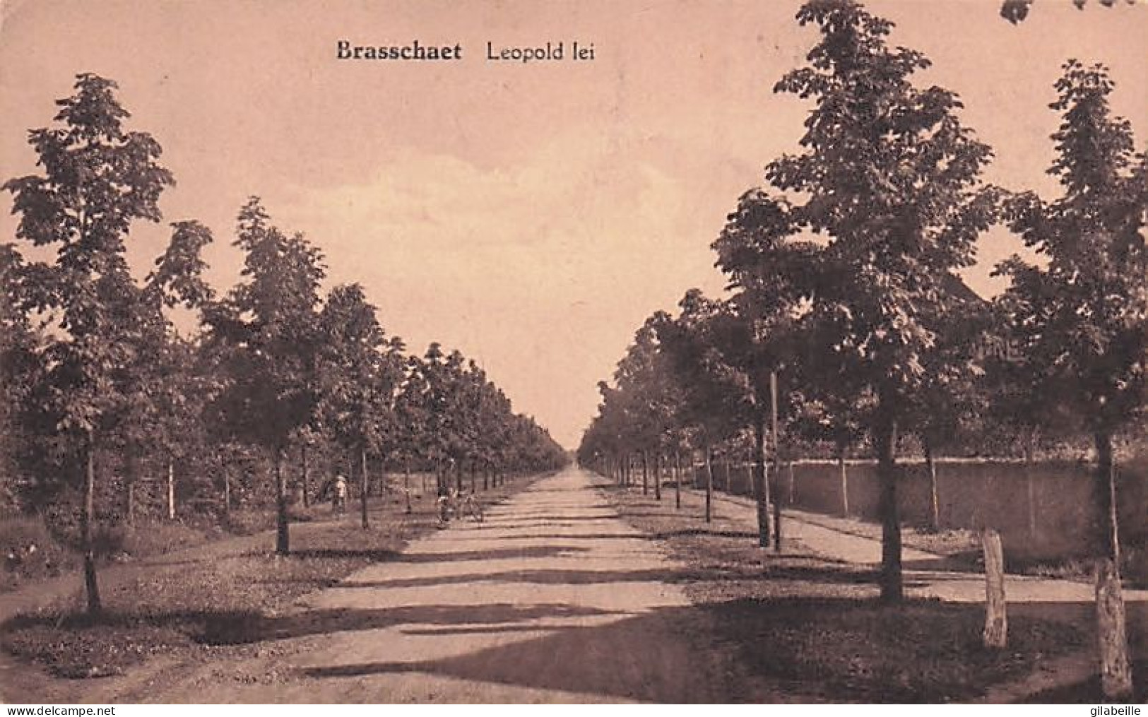 BRASSCHAAT - BRASSCHAET -  Leopold Lei - 1933 - Brasschaat