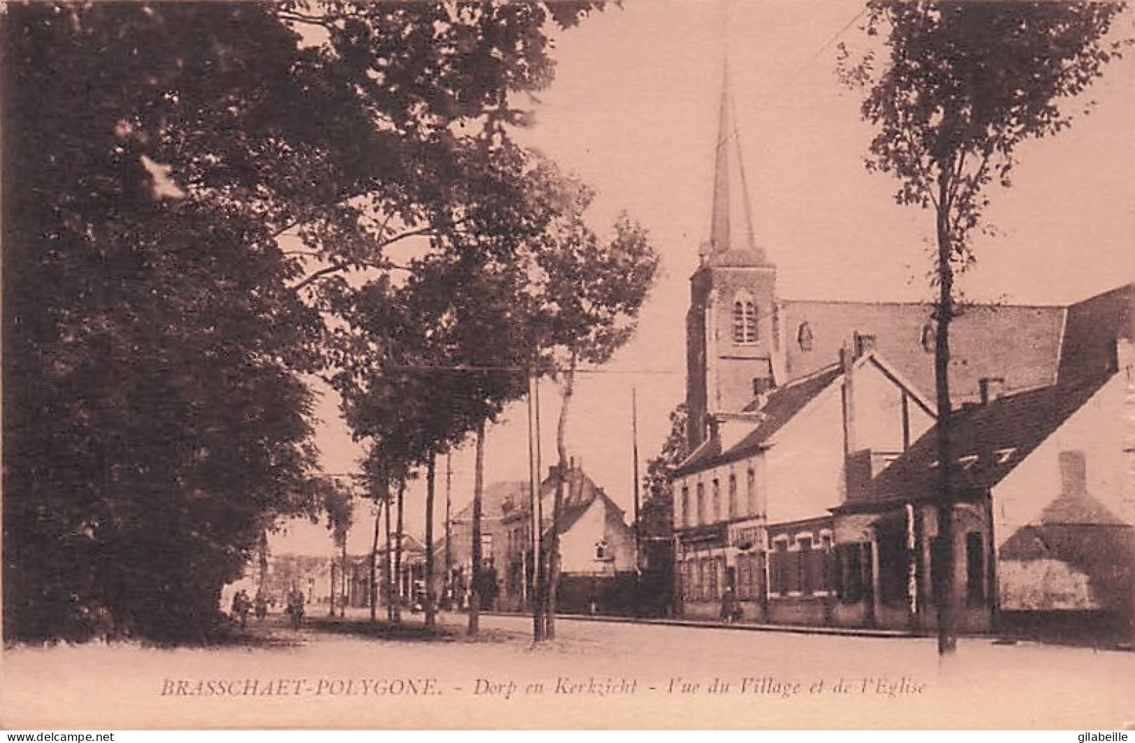 BRASSCHAAT - BRASSCHAET - POLYGONE -  Vue Du Village Et De L'église - Dorp En Kerkzicht - Brasschaat