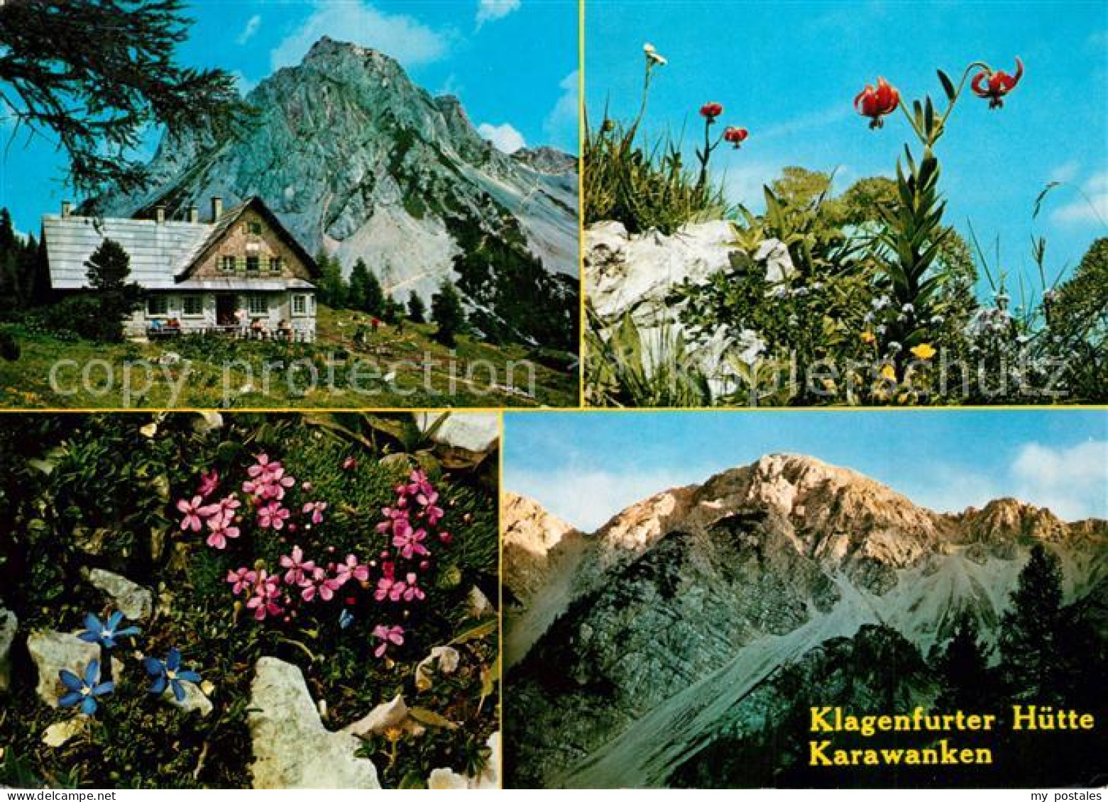 73243123 Klagenfurter Huette Berghuette Karawanken Alpenflora Krainer Lilie Gems - Other & Unclassified