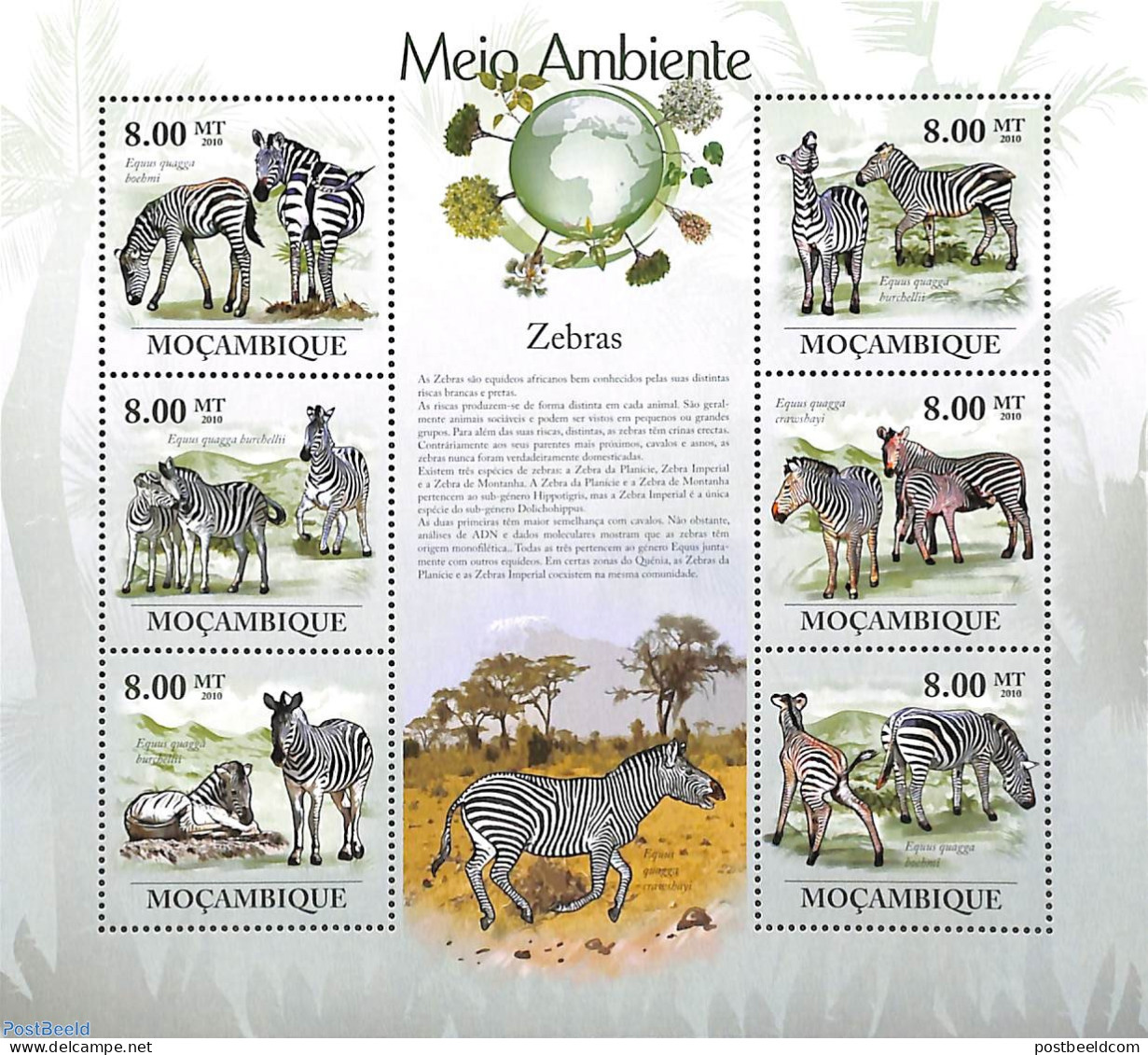 Mozambique 2010 Zebra 6v M/s, Mint NH, Nature - Animals (others & Mixed) - Zebra - Wild Mammals - Mozambique