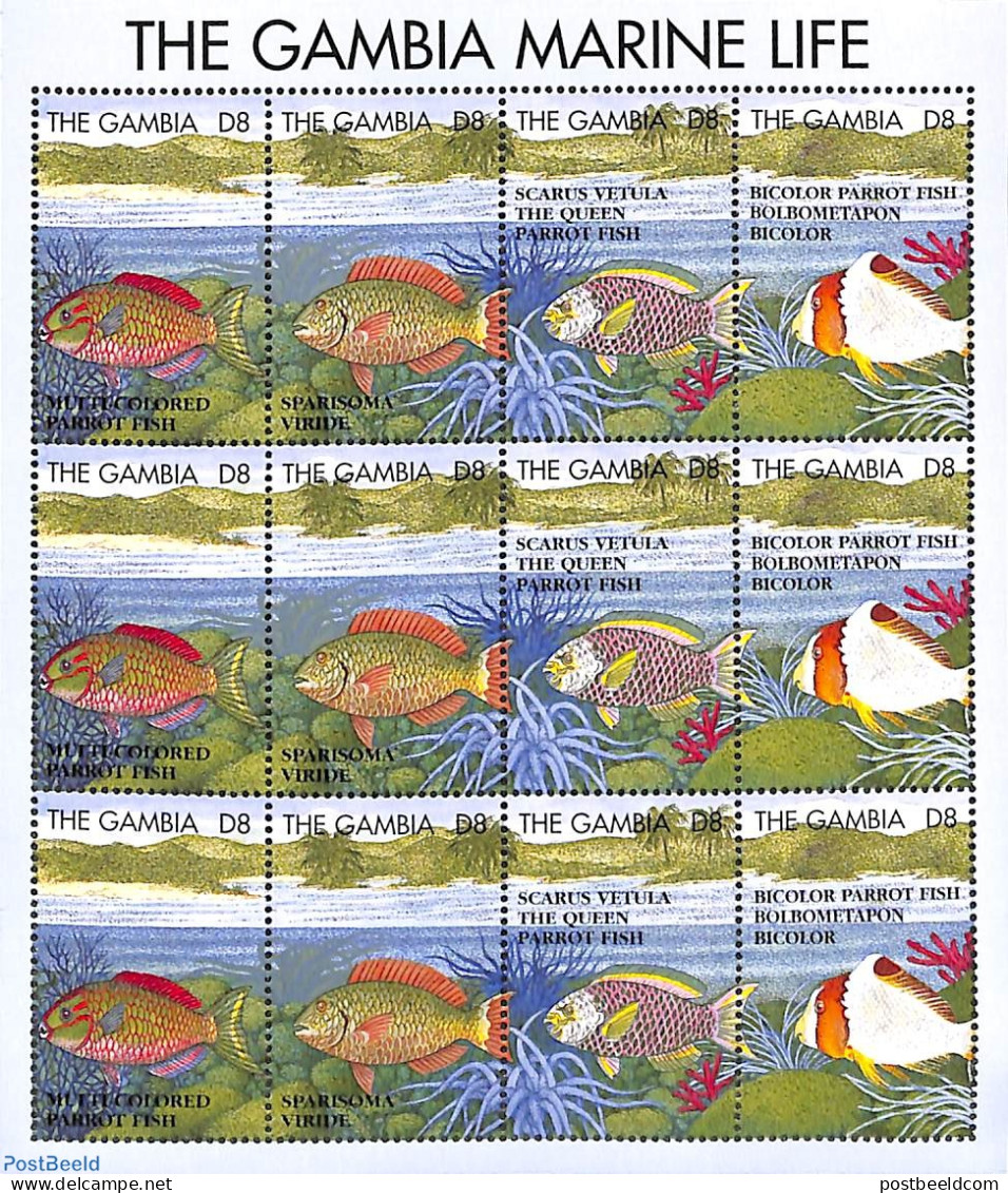 Gambia 1995 Marine Life M/s, Mint NH, Nature - Fish - Fishes
