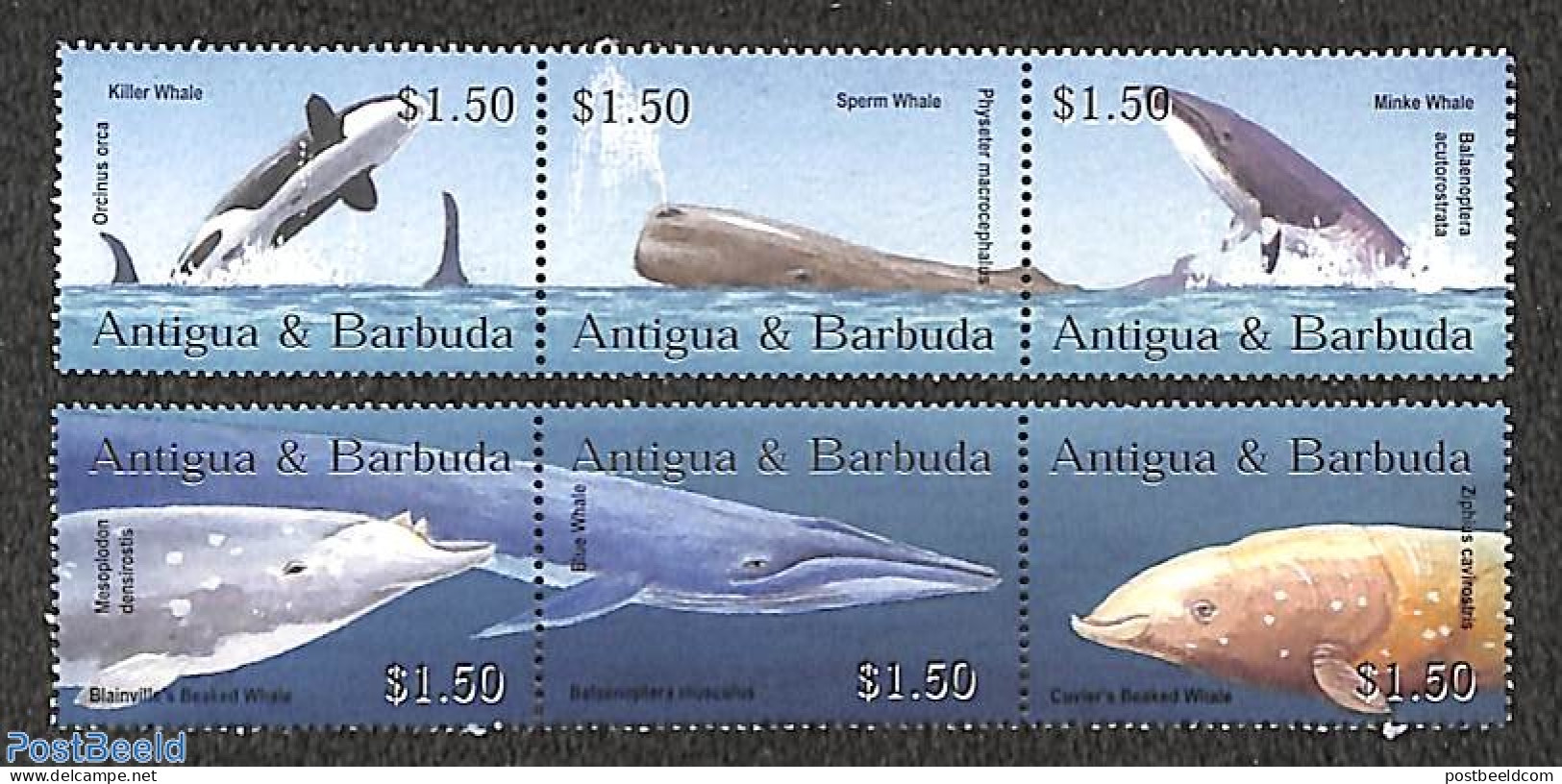 Antigua & Barbuda 2002 Whales 6v, Mint NH, Nature - Sea Mammals - Antigua Et Barbuda (1981-...)