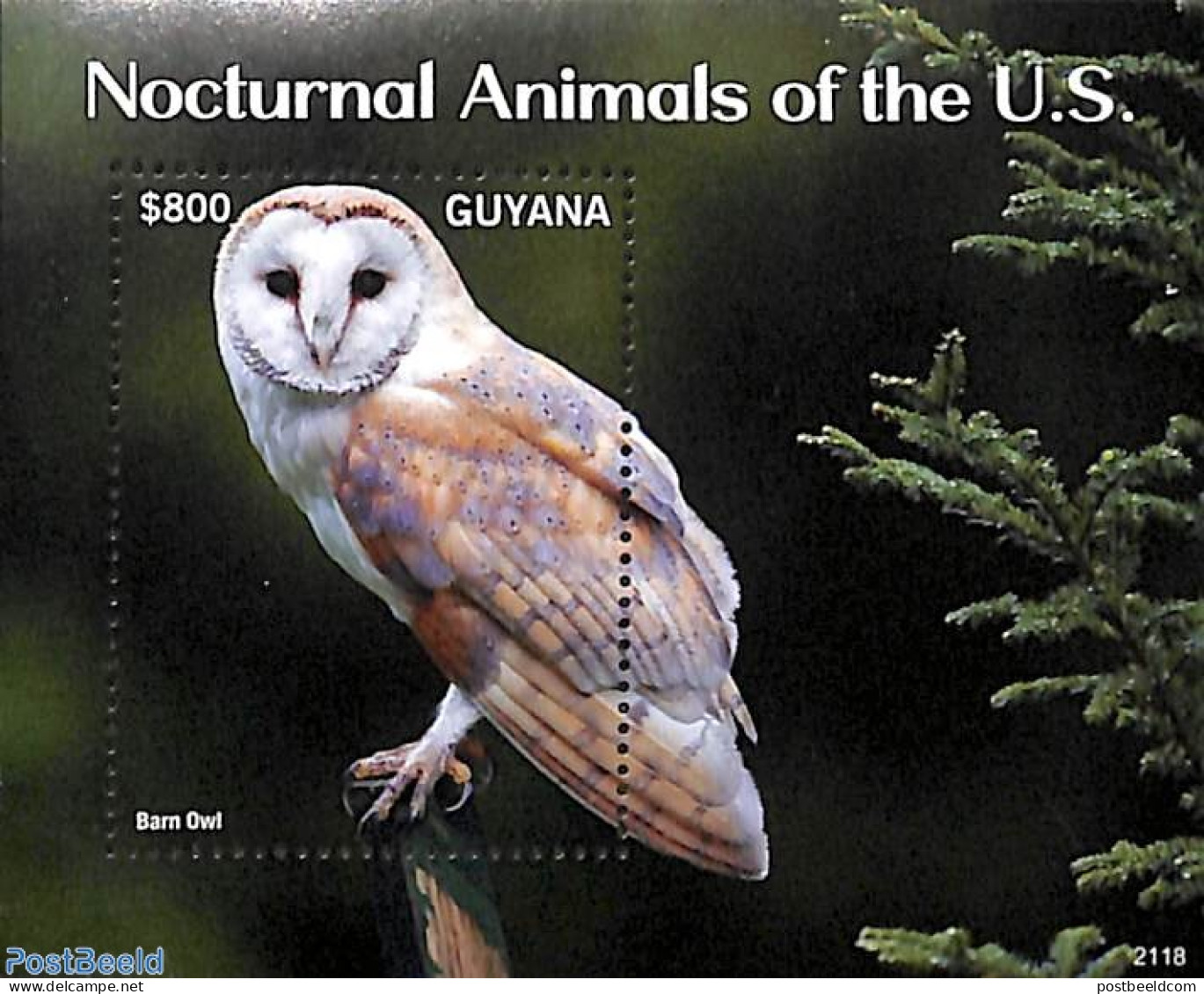 Guyana 2021 Noctural Animals Of The U.S. S/s, Mint NH, Nature - Birds - Owls - Guyana (1966-...)