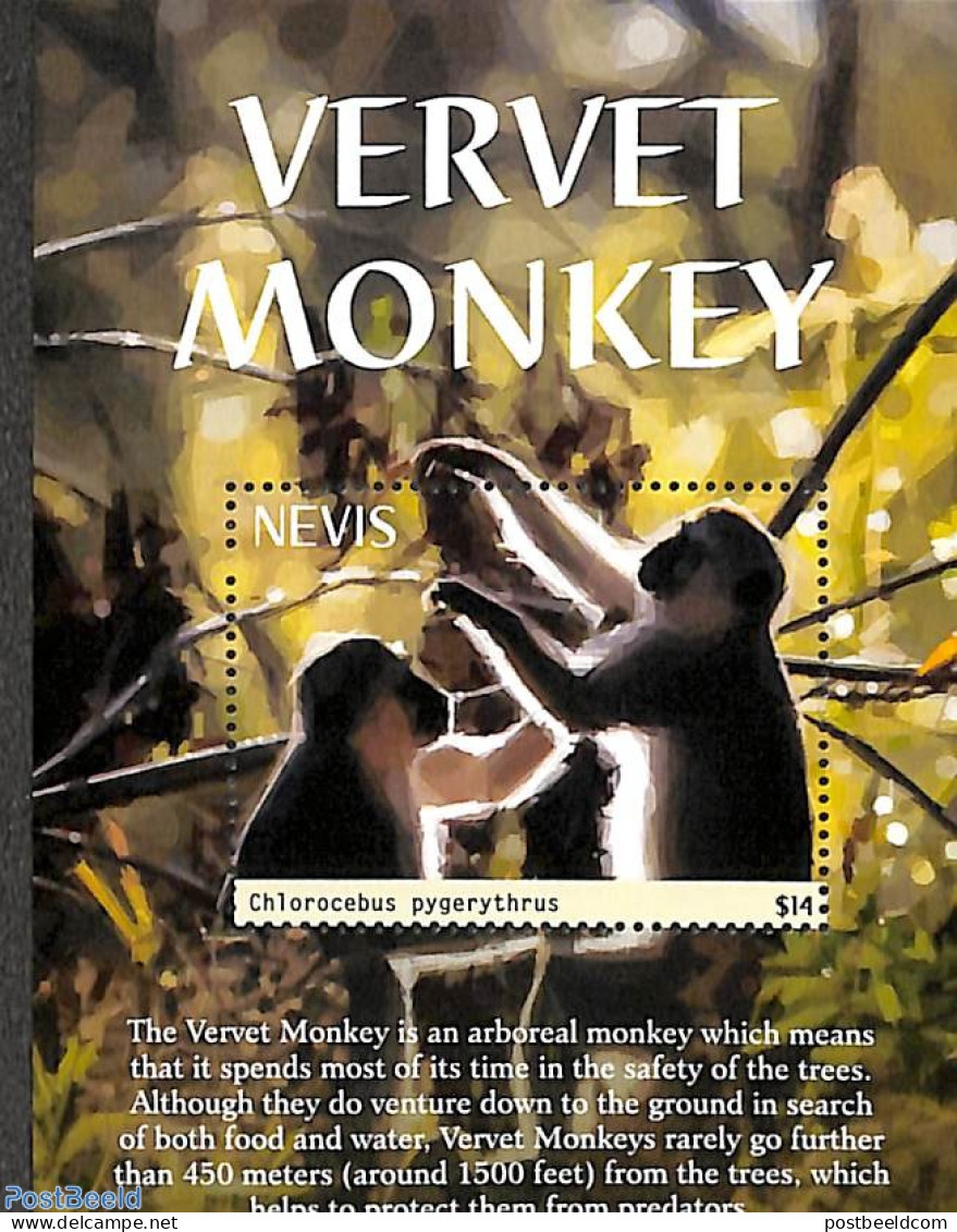 Nevis 2022 Vervet Monkey S/s, Mint NH, Nature - Animals (others & Mixed) - Monkeys - St.Kitts Und Nevis ( 1983-...)