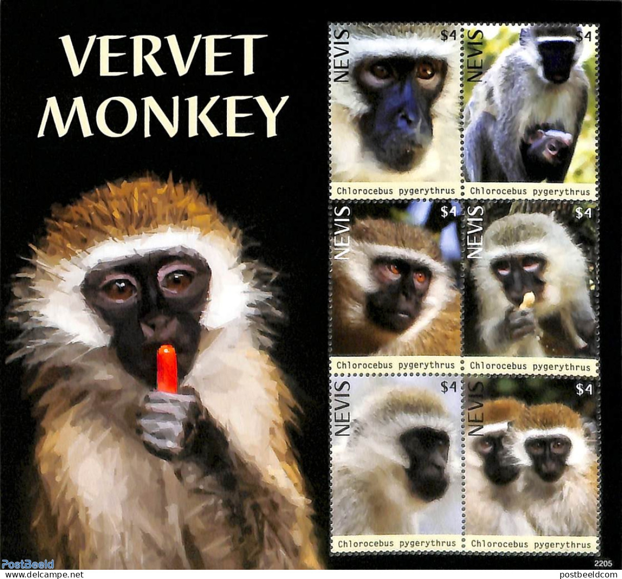 Nevis 2022 Vervet Monkey 6v M/s, Mint NH, Nature - Animals (others & Mixed) - Monkeys - St.Kitts E Nevis ( 1983-...)