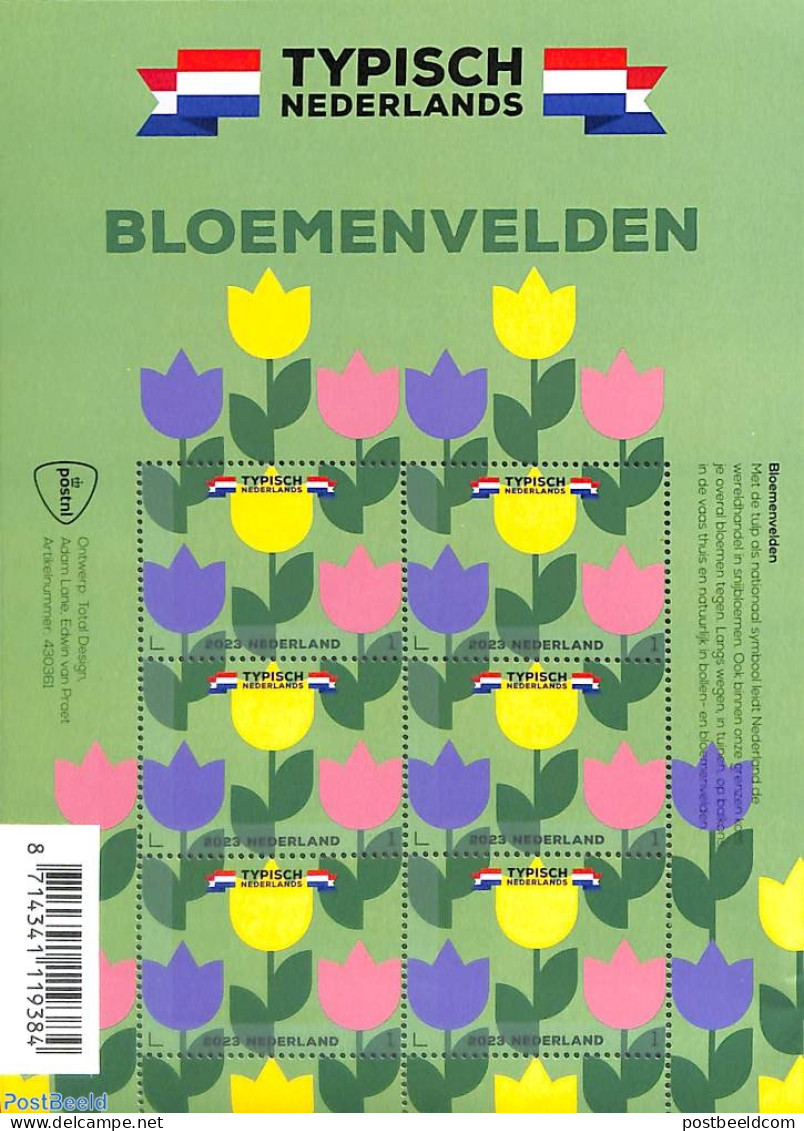 Netherlands 2023 Typical Dutch, Flower Fields M/s, Mint NH, Nature - Flowers & Plants - Nuovi