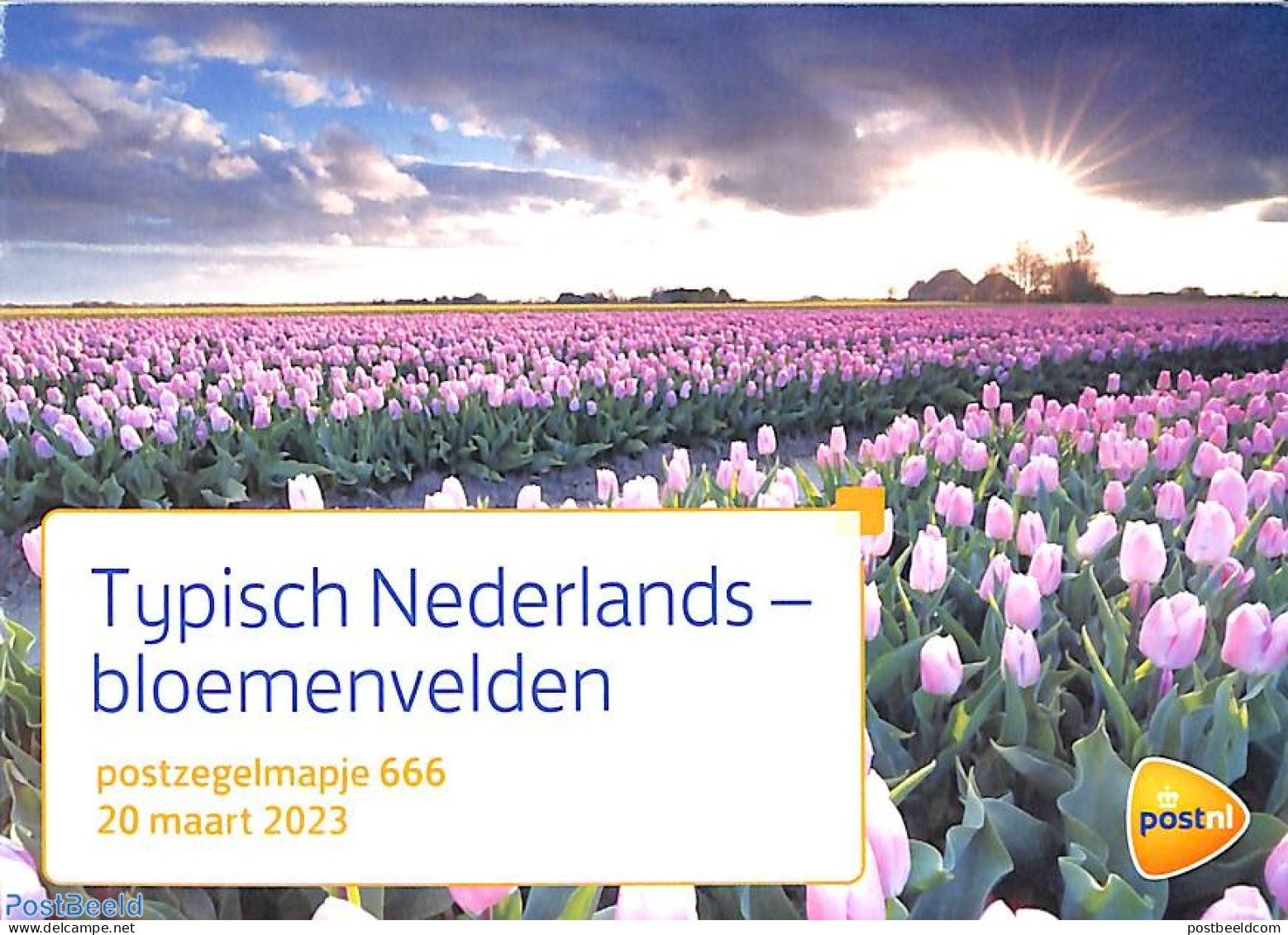Netherlands 2023 Typical Dutch, Flower Fields, Pres. Pack 666, Mint NH, Nature - Flowers & Plants - Ongebruikt