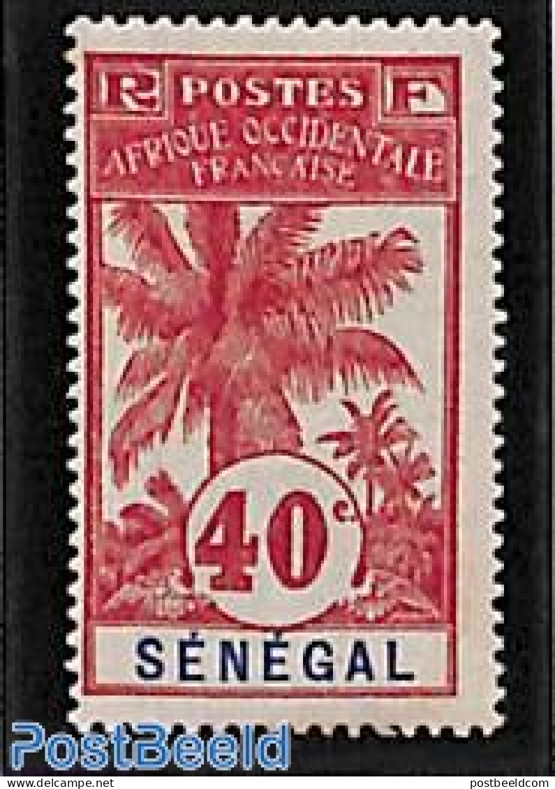 Senegal 1906 40c, Stamp Out Of Set, Unused (hinged), Nature - Trees & Forests - Rotary, Club Leones