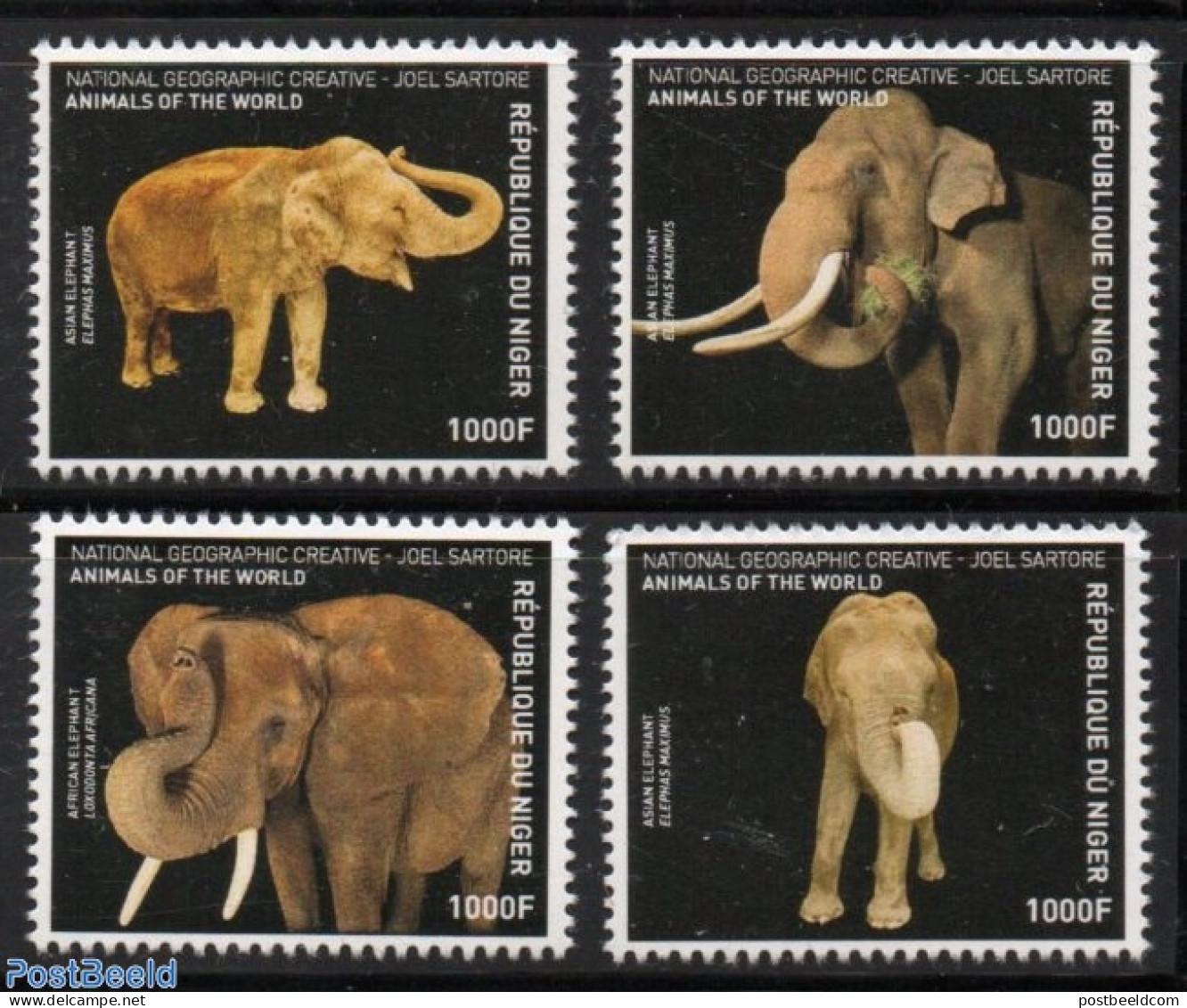 Niger 2016 Elephants 4v, Mint NH, Nature - Elephants - Niger (1960-...)