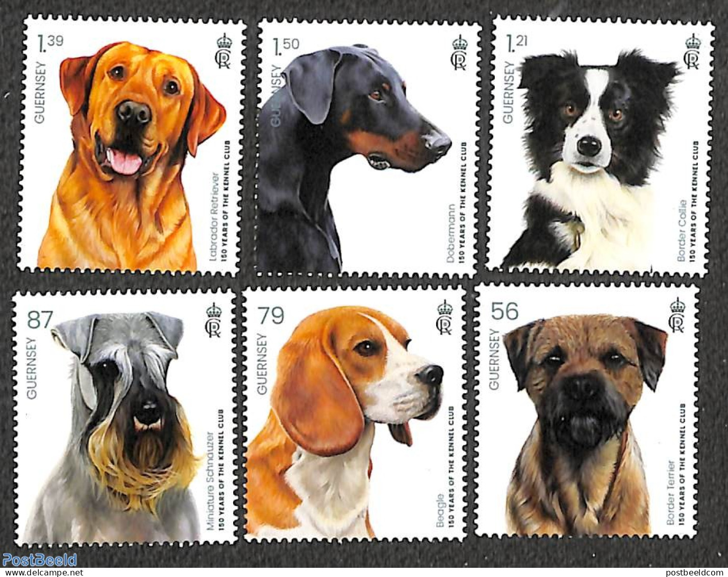 Guernsey 2023 100 Years Kennel Club 6v, Mint NH, Nature - Dogs - Guernesey