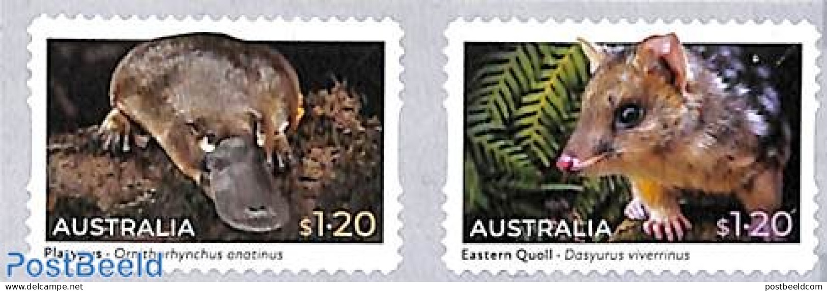 Australia 2022 Animals 2v S-a, Mint NH, Nature - Animals (others & Mixed) - Unused Stamps