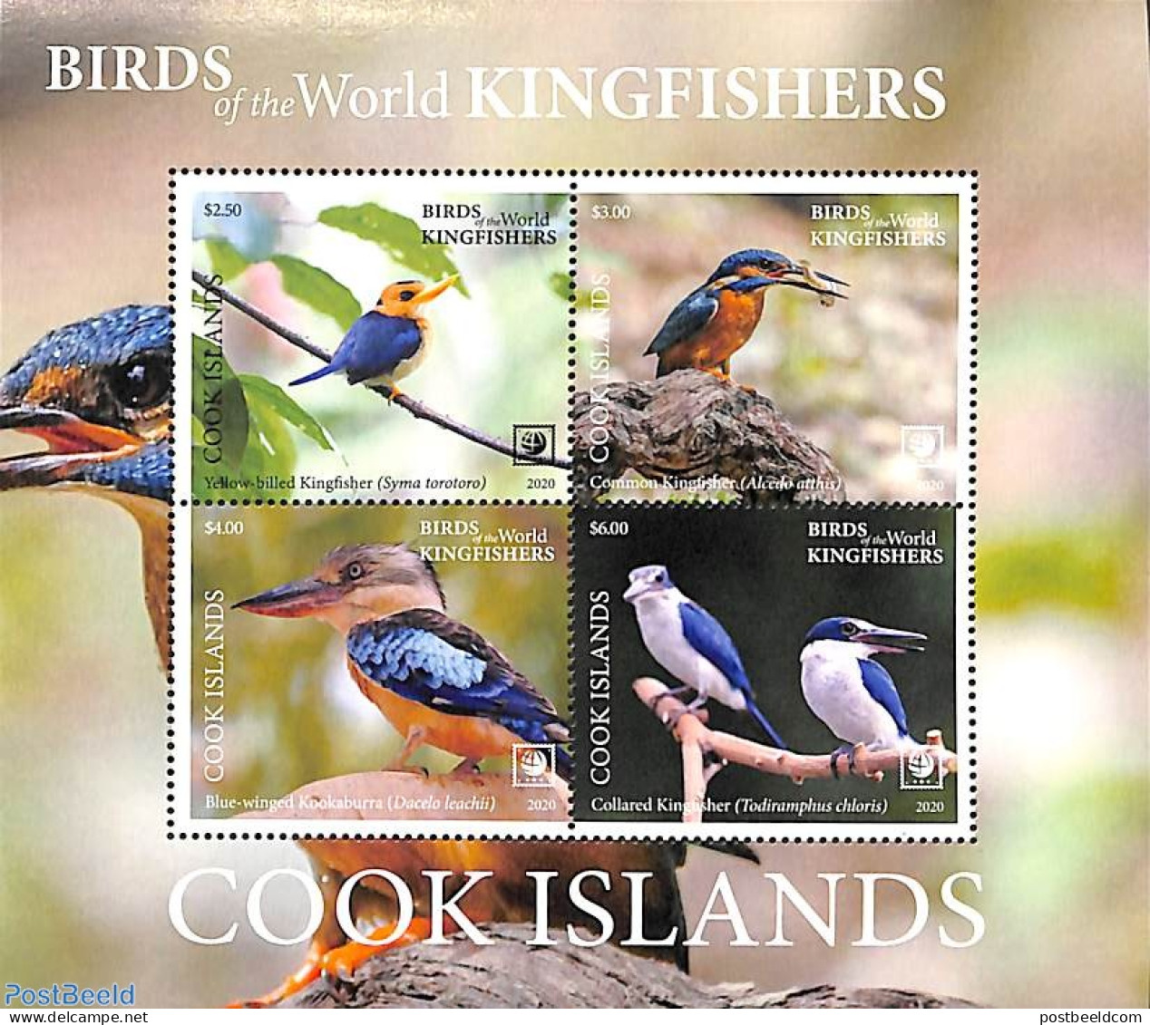 Cook Islands 2020 Kingfishers 4v M/s, Mint NH, Nature - Birds - Kingfishers - Sonstige & Ohne Zuordnung