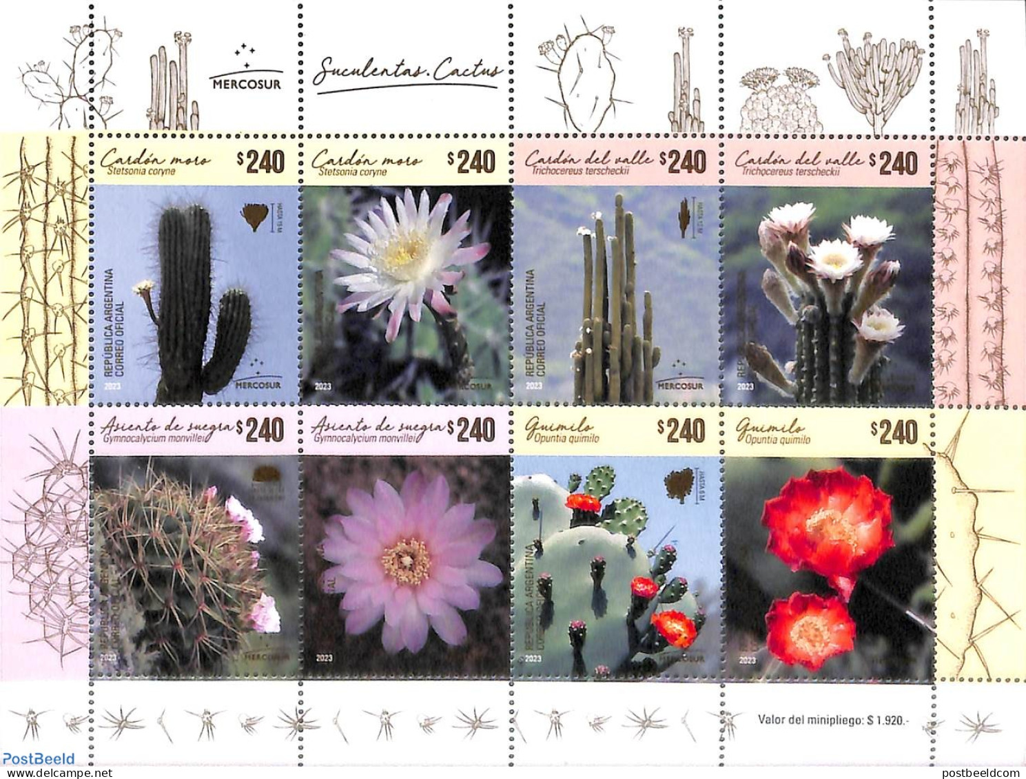 Argentina 2023 Cacti 8v M/s, Mint NH, Nature - Cacti - Flowers & Plants - Nuevos