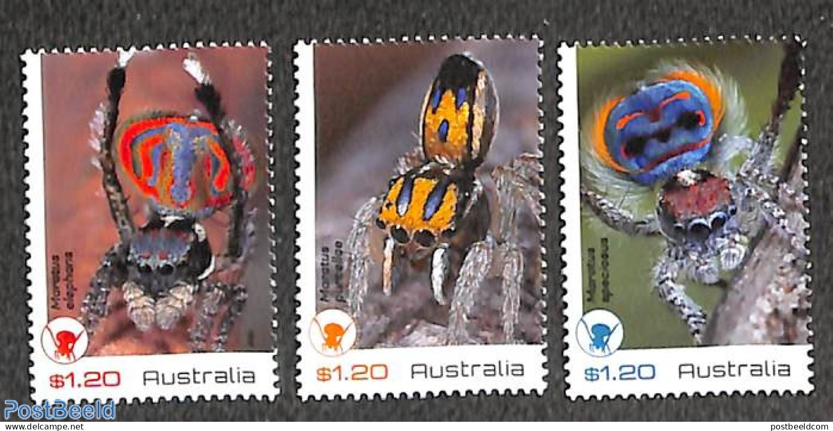 Australia 2023 Peacock Spiders 3v, Mint NH, Nature - Animals (others & Mixed) - Neufs