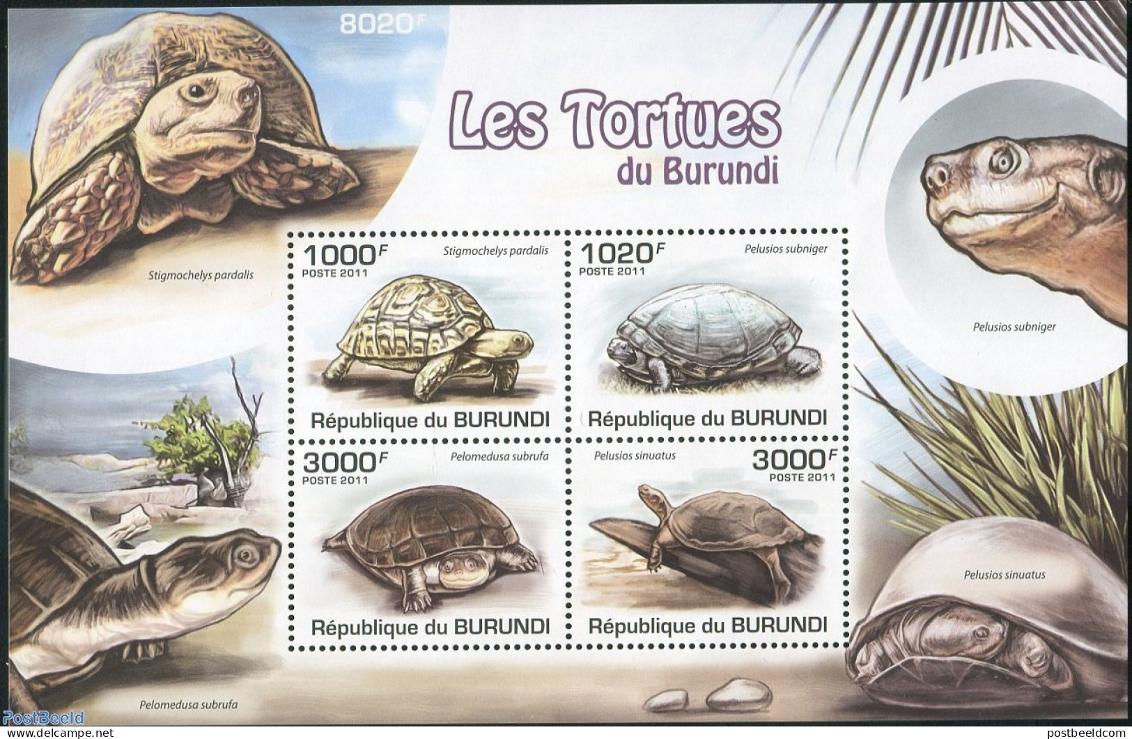 Burundi 2011 Turtles S/s, Mint NH, Nature - Animals (others & Mixed) - Reptiles - Turtles - Other & Unclassified