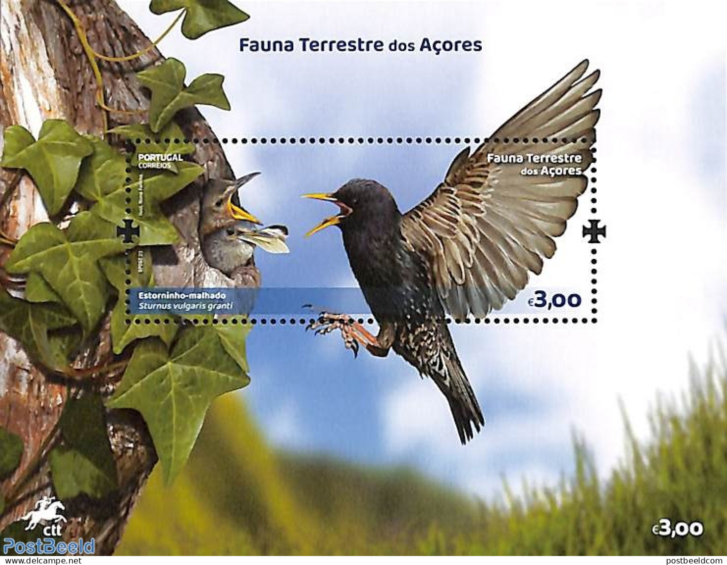Azores 2023 Fauna S/s, Mint NH, Nature - Birds - Azoren