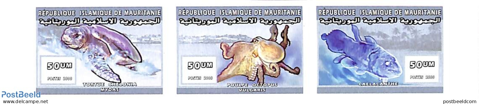 Mauritania 2000 Marine Life 3v, Imperforated, Mint NH, Nature - Fish - Turtles - Fische