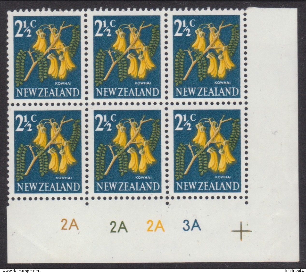 NEW ZEALAND 1967 DECIMAL PICTORIALS  " 2.1/2c KOWHAI " IMPRINT BLOCK OF (6) MNH - Ungebraucht