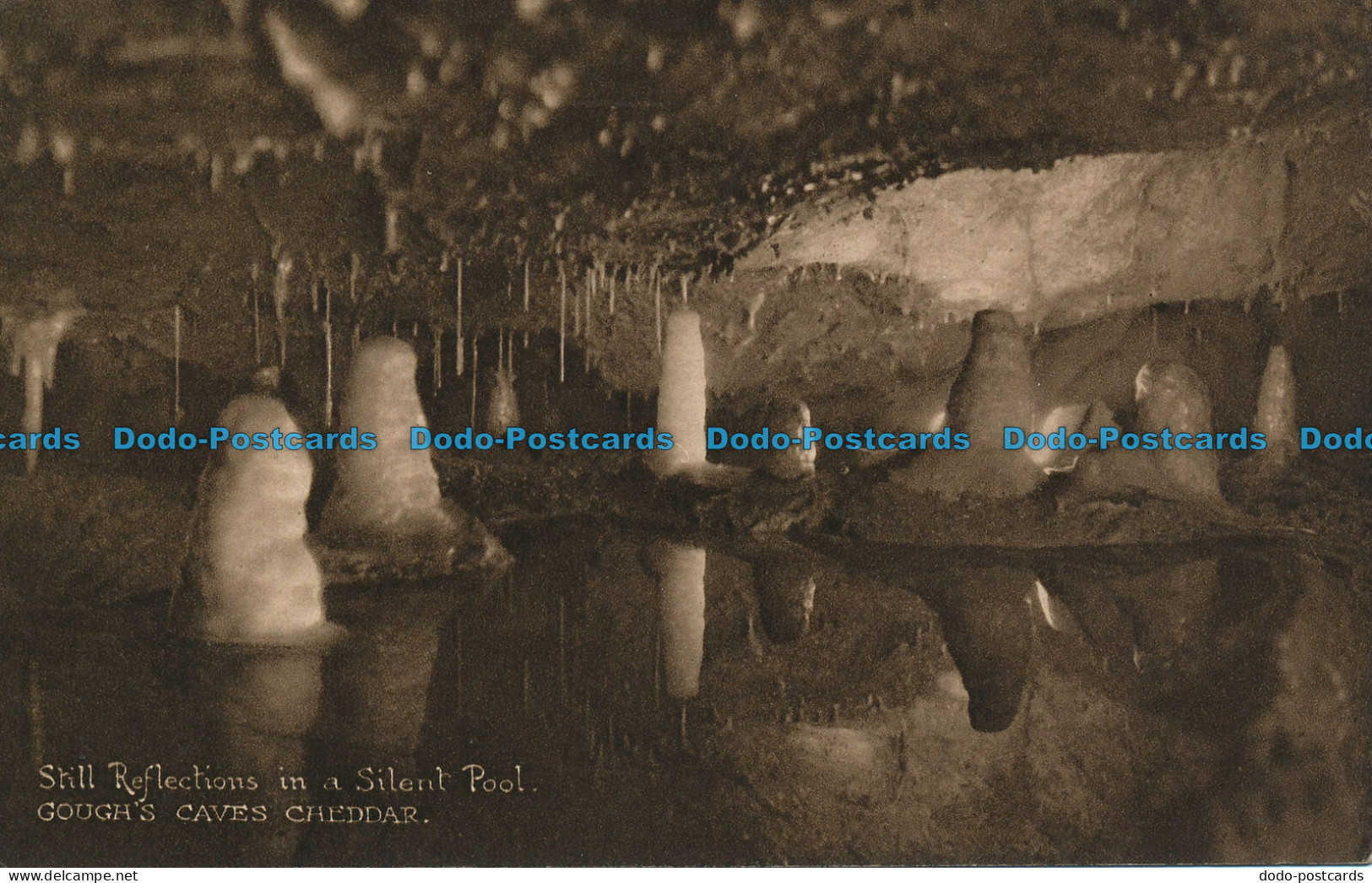 R039212 Silent Pool. Goughs Caves. Cheddar - World