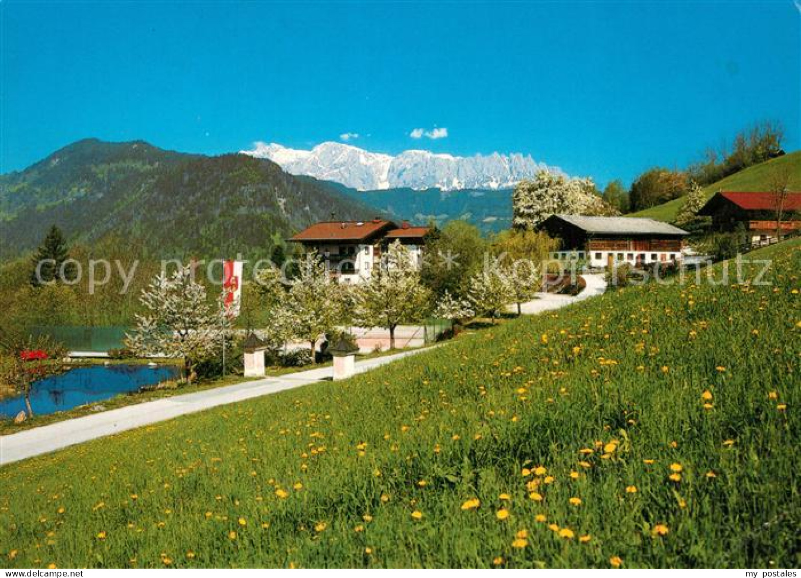73241139 Sankt Johann Pongau Hotel Alpenhof Gschwandl Im Fruehling Alpen Sankt J - Autres & Non Classés