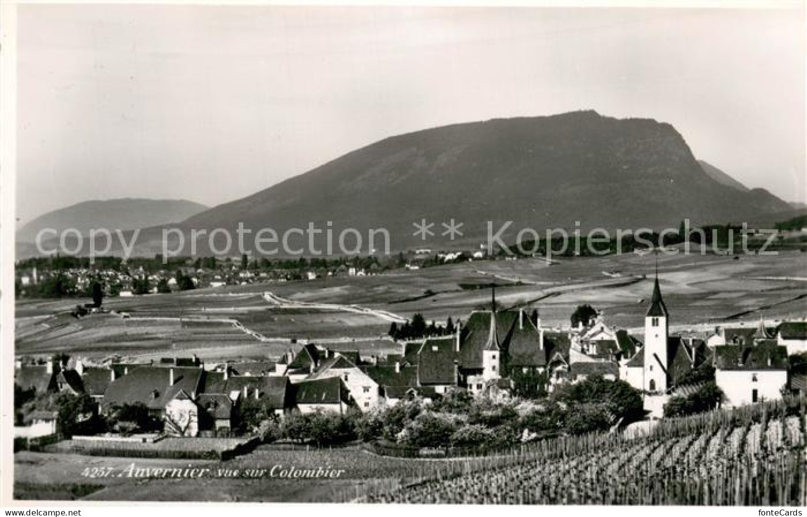 13710726 Auvernier Colombier NE Panorama  - Other & Unclassified
