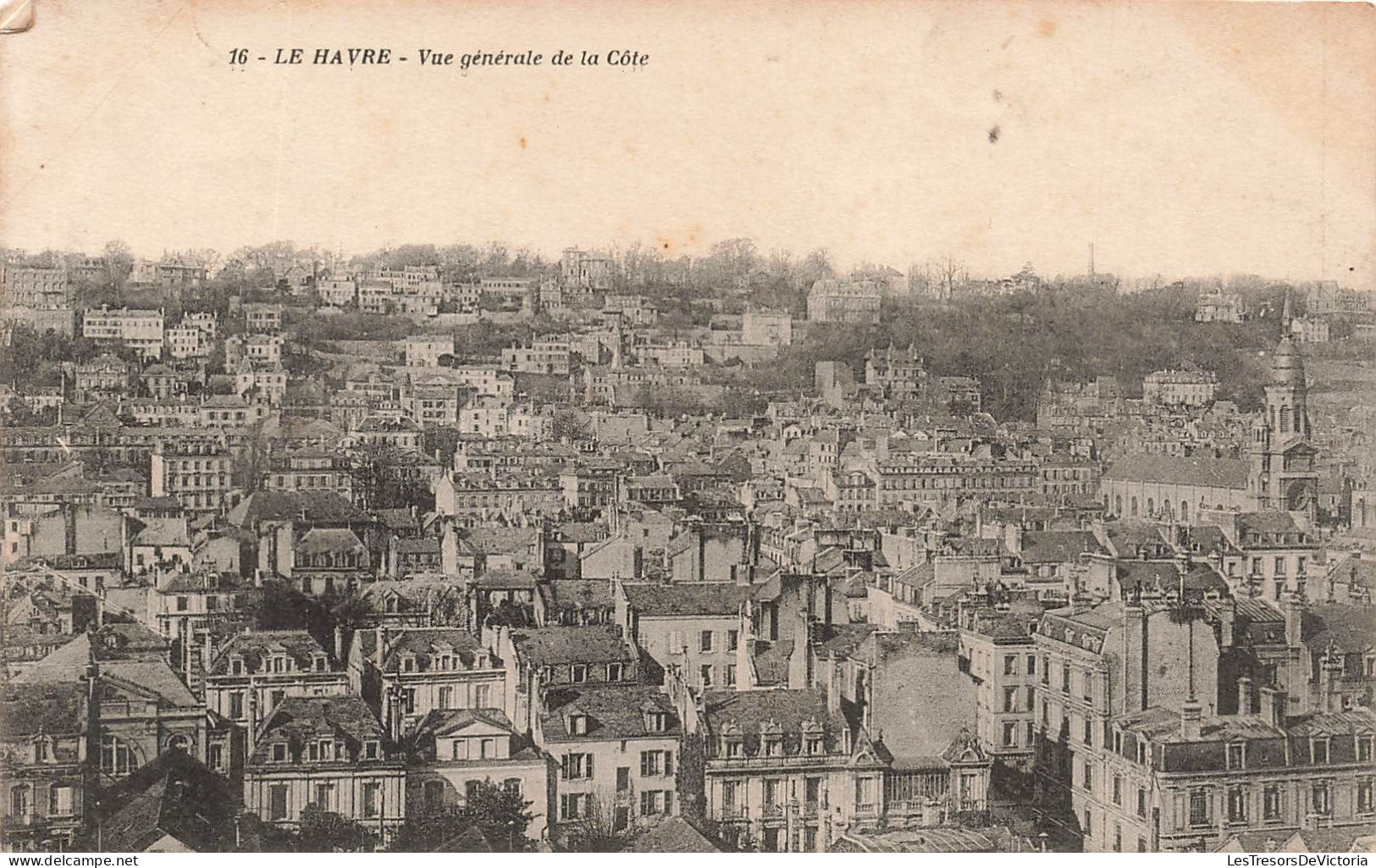 FRANCE - Le Hâvre - Vue Générale De La Côte -  Carte Postale Ancienne - Non Classés