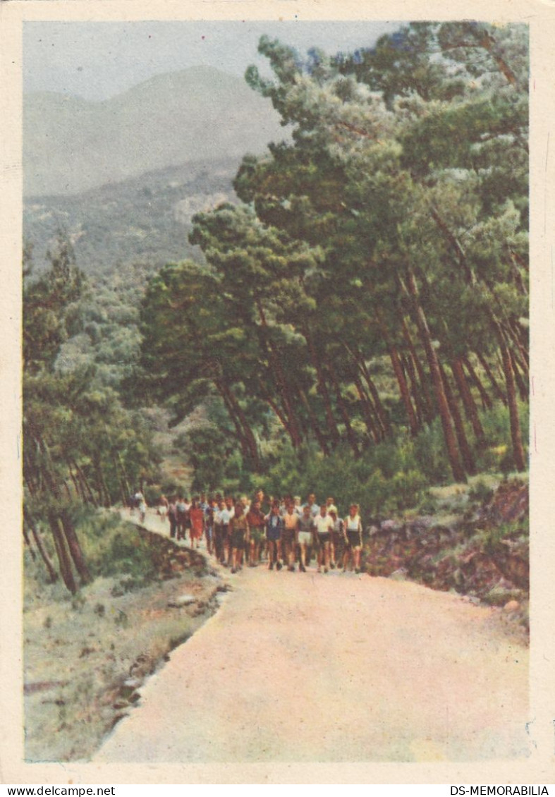 Yugoslavia Red Cross Youth Postcard - Health