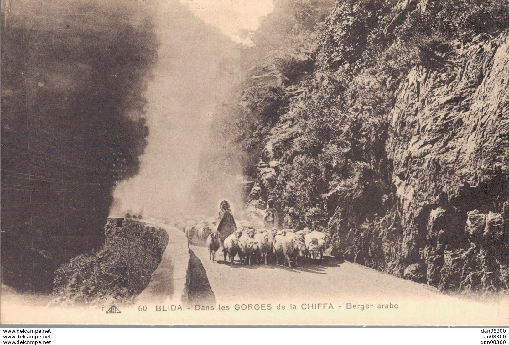 ALGERIE BLIDA DANS LES GORGES DE LA CHIFFA BERGER ARABE - Blida