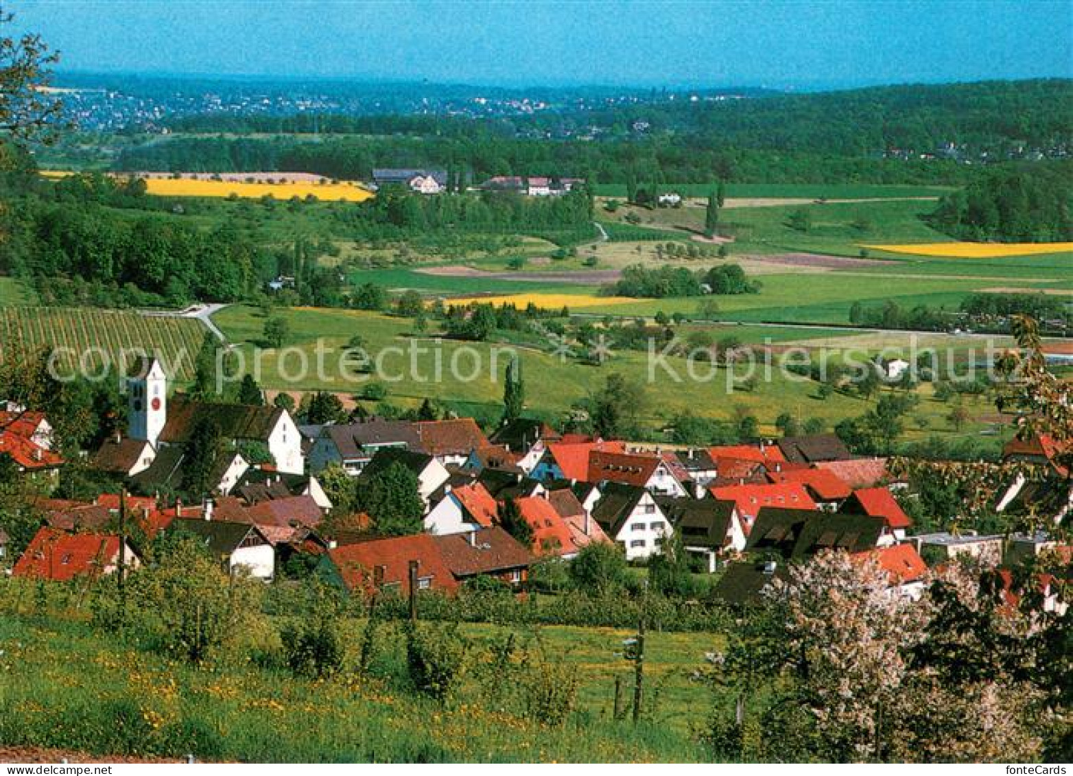 13630866 Pfeffingen Arlesheim Panorama Pfeffingen Arlesheim - Sonstige & Ohne Zuordnung