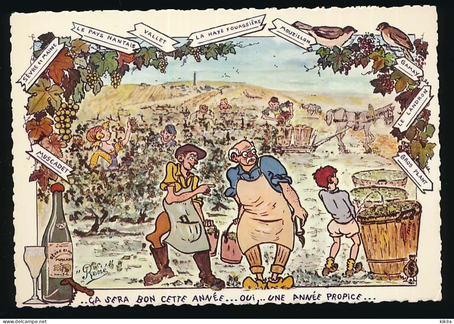 CPSM Dentelée 10,5 X 15 Humoristique (26) "Vendanges En Loire-Atlantique" Enfant Urinant "Ce Sera Bon Cette Année..." - Humour