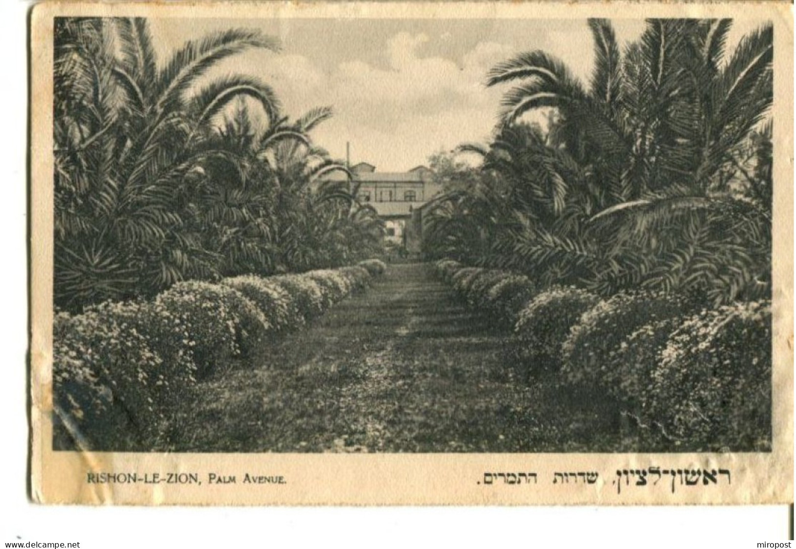 Judaica - Judaika