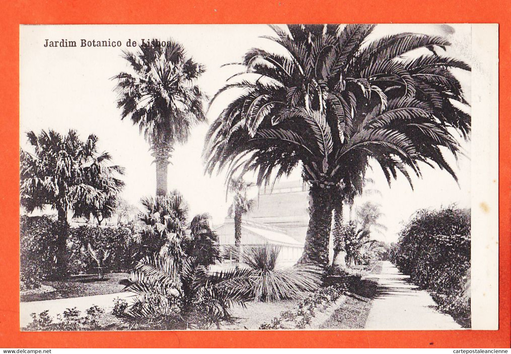 32957 / ⭐ LISBOA Lisbonne (•◡•) Jardim Botanico ◉ Jardin Botanique 1910s ◉ Ediçao COSTA 295 Rua Do OURO 1090 - Lisboa