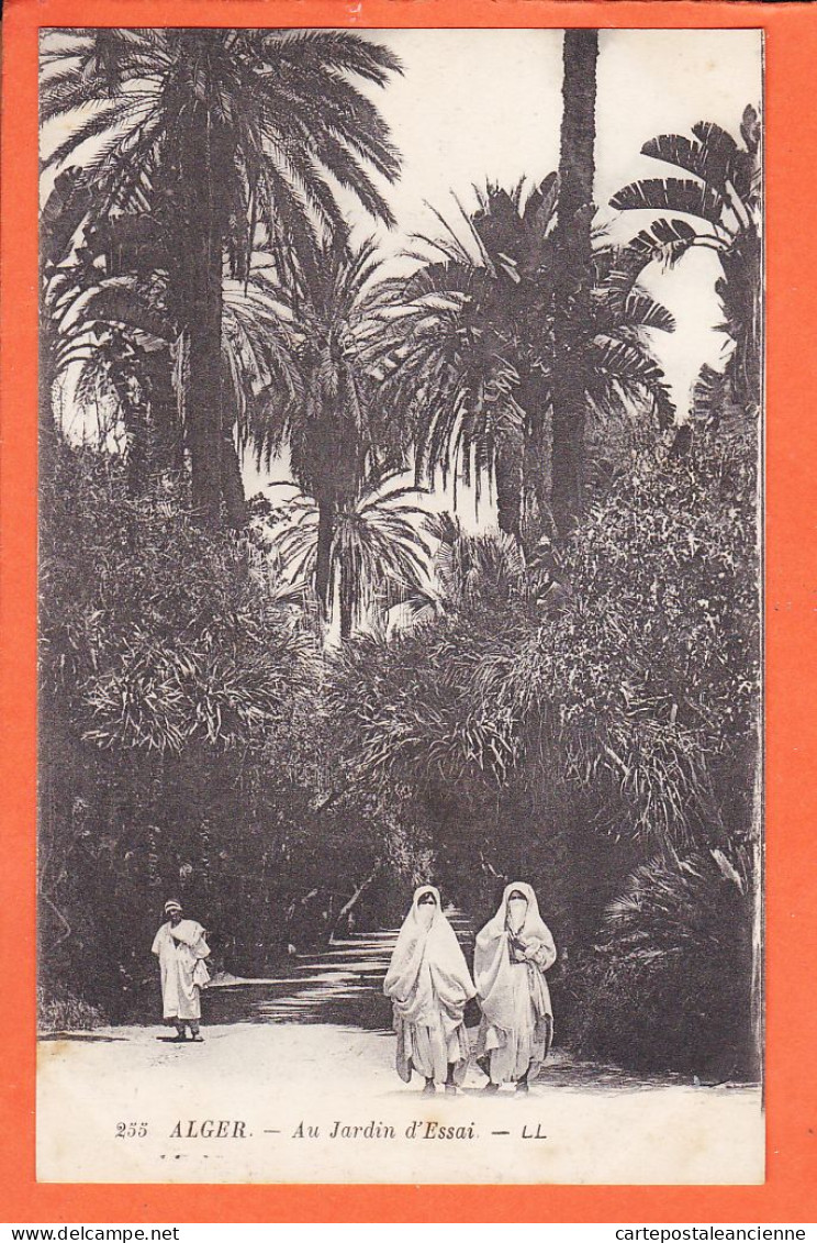 32804 / ⭐ ALGER (•◡•) Algérie ◉ IAu Jardin D'Essai 1910s ◉ LE VY LL-255 - Algiers