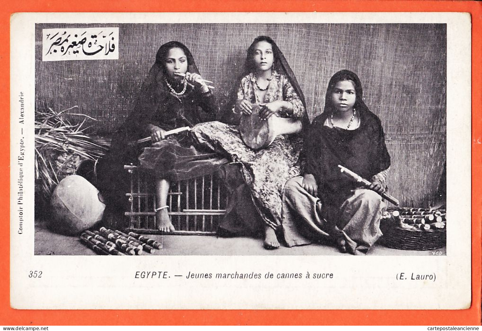 32703 / ⭐ (•◡•) Egypte Petits Métiers ◉ Jeunes Marchandes De Cannes à Sucre 1900s ♥️ Photo LAURO 352 Compt. Philatelique - Persone